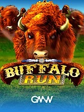 buffalo-run