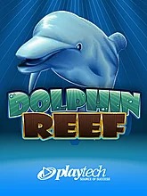 Dolphin Reef