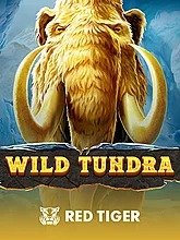 wild-tundra